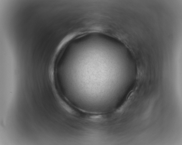 X0000113330054200909281236