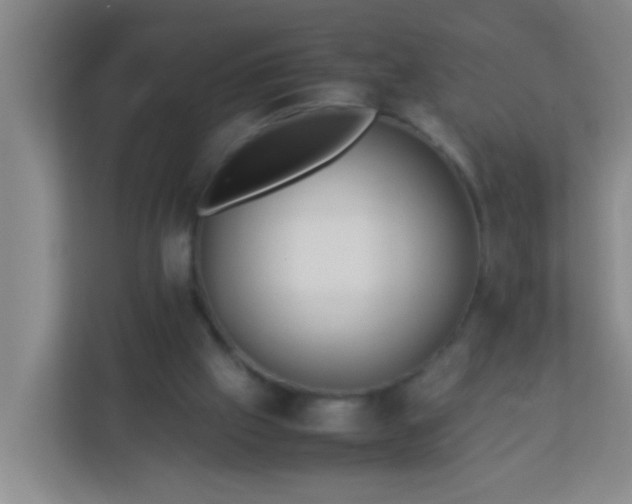 X0000113330057200909281236