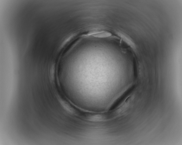 X0000113330058200909281236