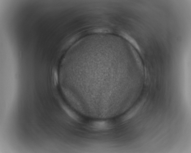 X0000113330061200909281236