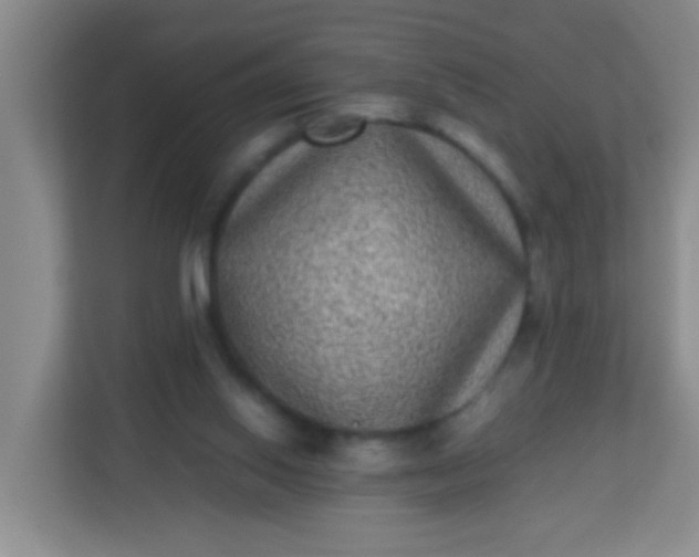X0000113330062200909281236
