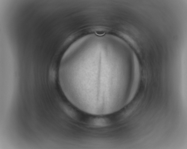 X0000113330063200909281236