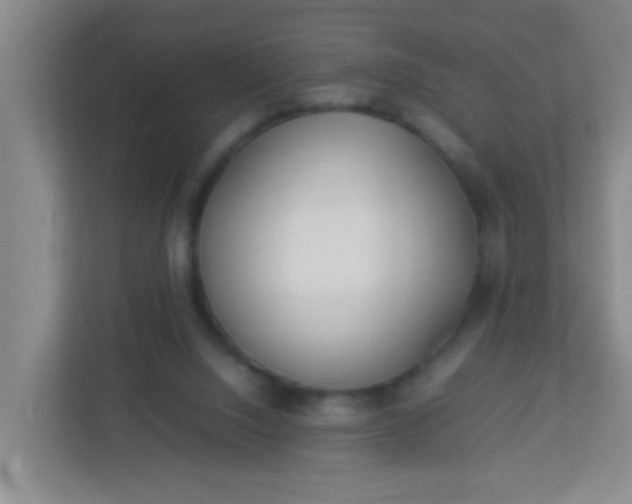 X0000113330064200909281236