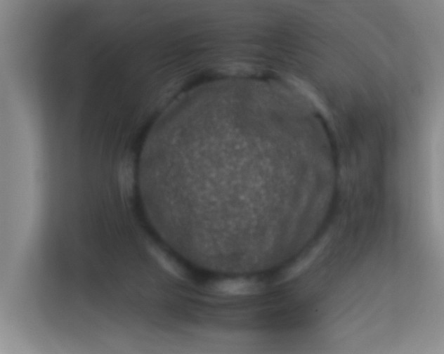X0000113330065200909281236