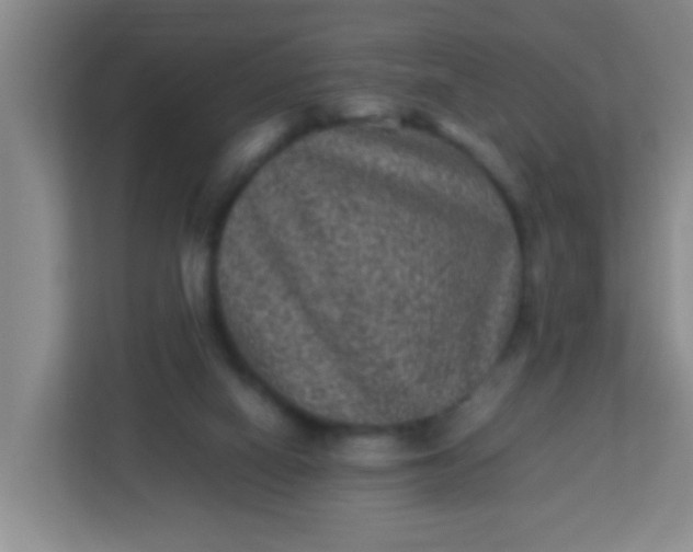 X0000113330066200909281236