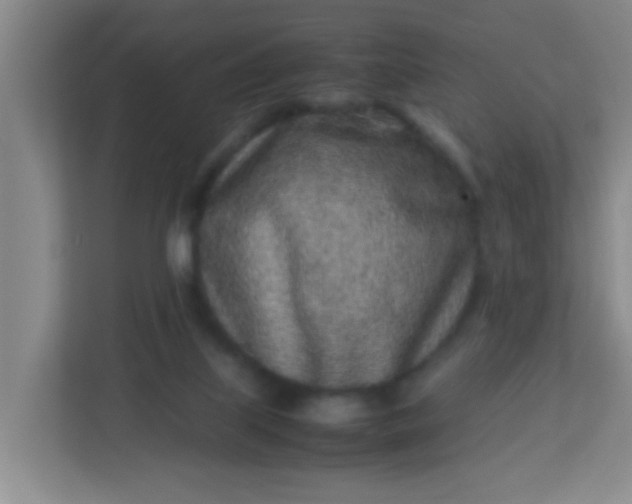 X0000113330067200909281236