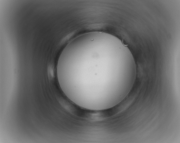 X0000113330068200909281236