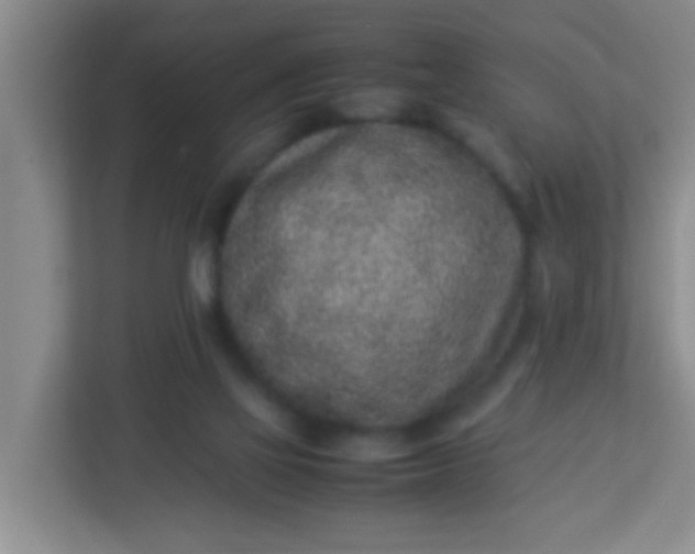 X0000113330069200909281236
