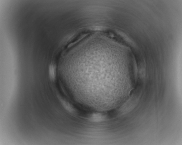 X0000113330070200909281236