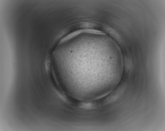 X0000113330071200909281236
