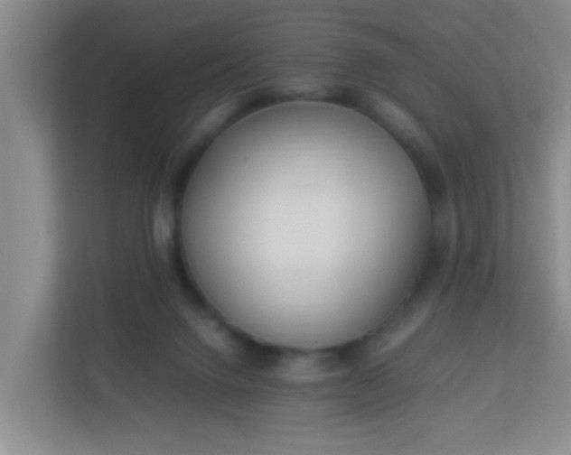 X0000113330072200909281236