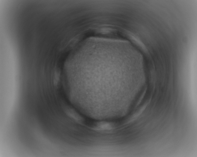 X0000113330073200909281236