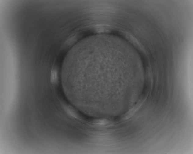 X0000113330074200909281236