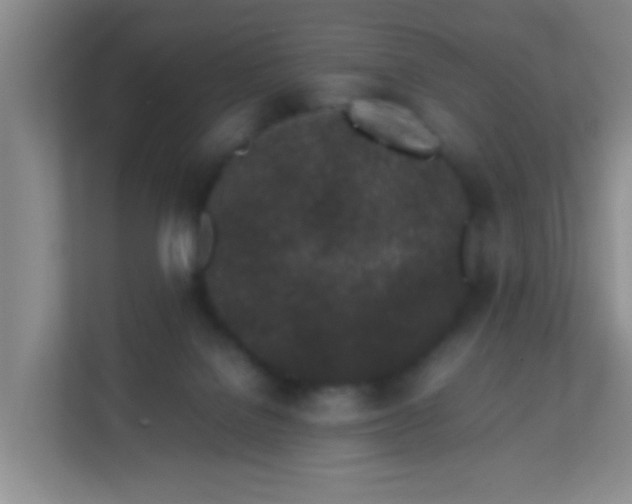 X0000113330076200909281236