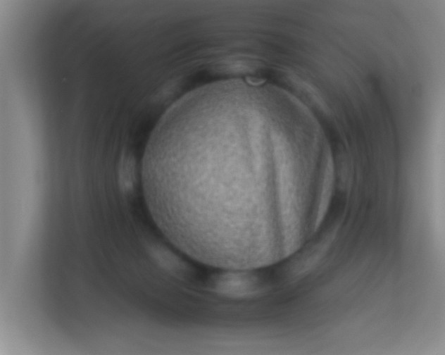 X0000113330077200909281236