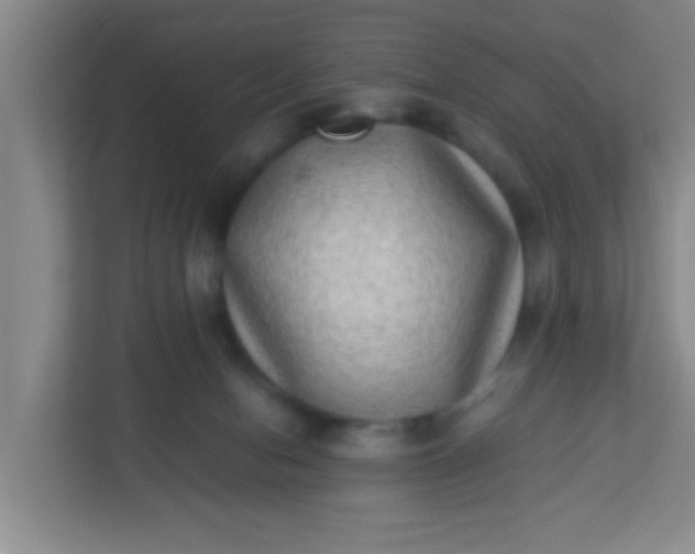 X0000113330078200909281236