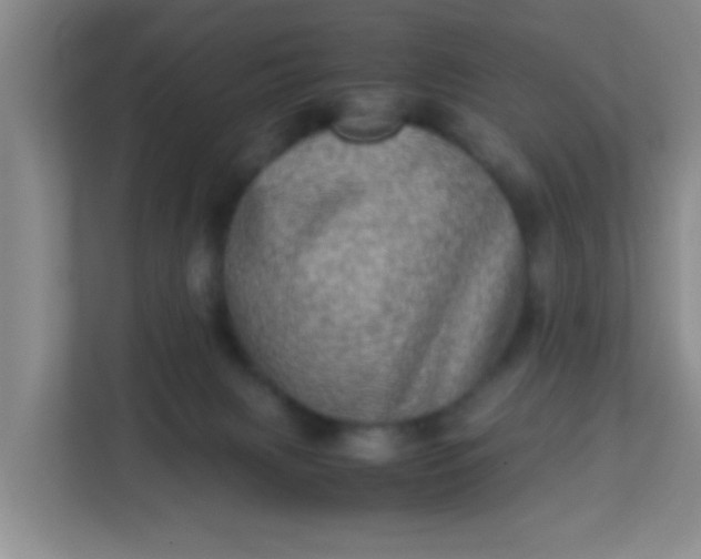 X0000113330079200909281236