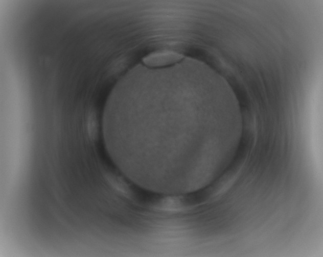 X0000113330080200909281236
