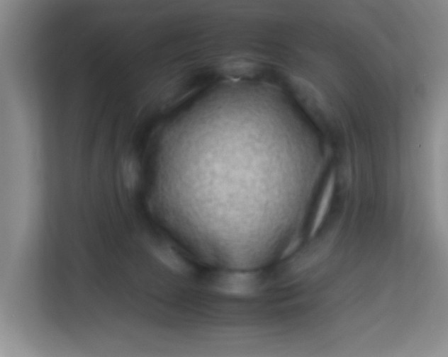 X0000113330081200909281236