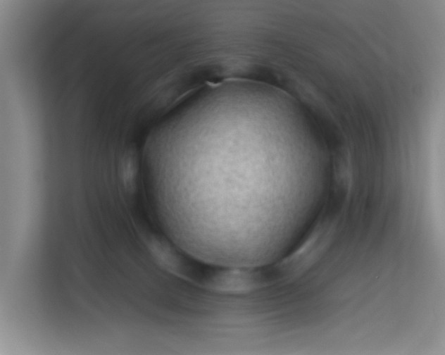 X0000113330082200909281236