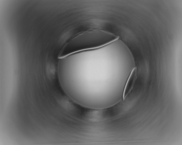 X0000113330084200909281236