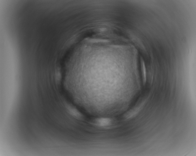 X0000113330085200909281236