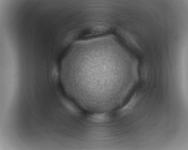 X0000113330086200909281236