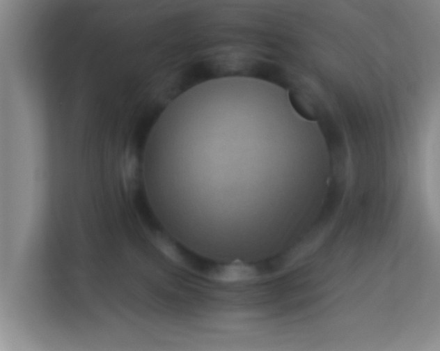 X0000113330087200909281236