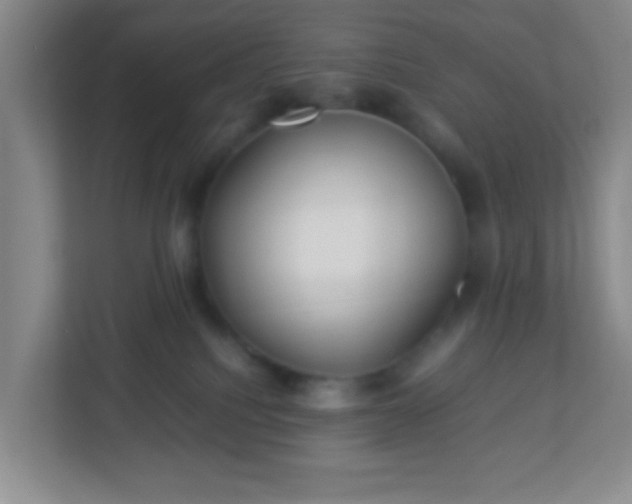 X0000113330088200909281236