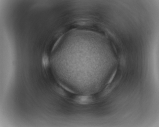 X0000113330089200909281236