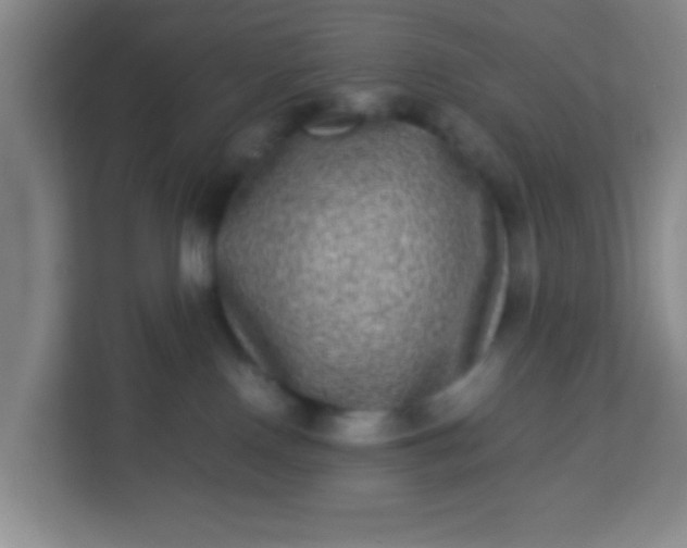 X0000113330090200909281236