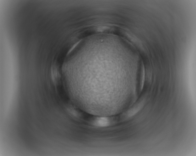 X0000113330091200909281236