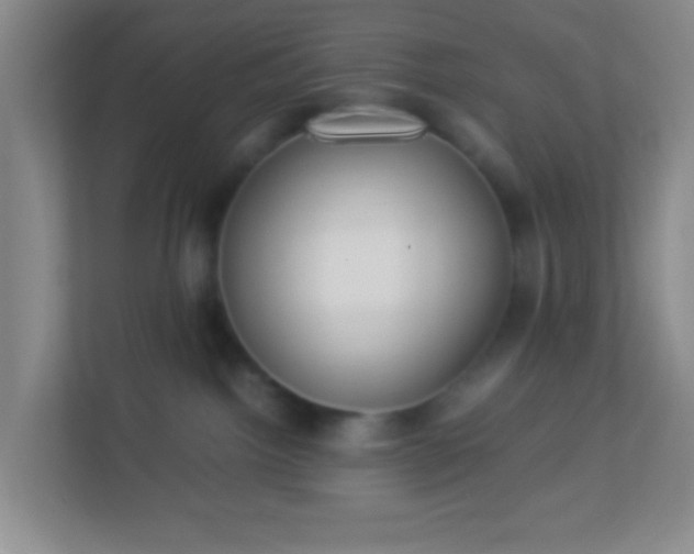 X0000113330092200909281236