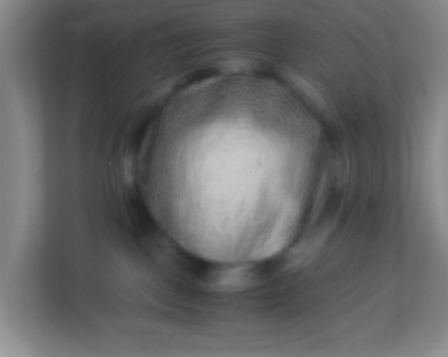 X0000113330093200909281236