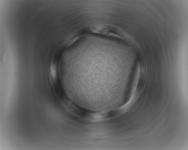 X0000113330094200909281236