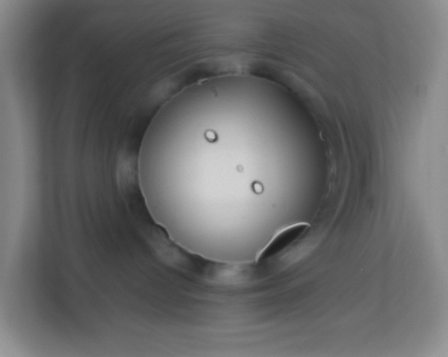 X0000113330096200909281236