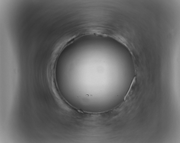 X0000113330097200909281235