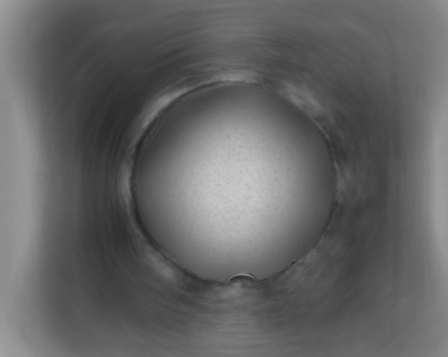 X0000113330098200909281235