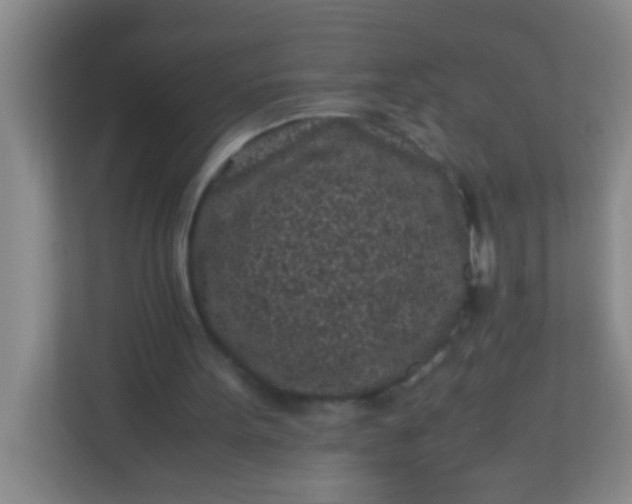 X0000113330099200909281235