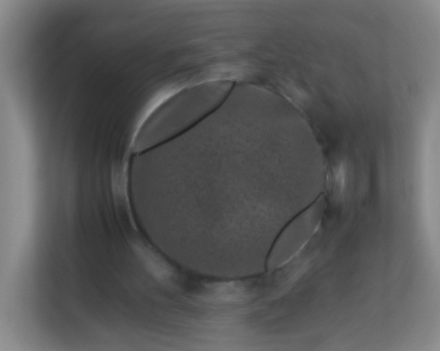 X0000113330100200909281235