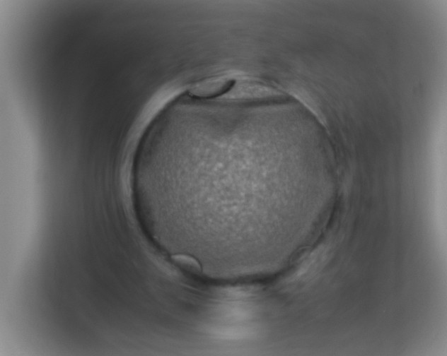 X0000113330103200909281235
