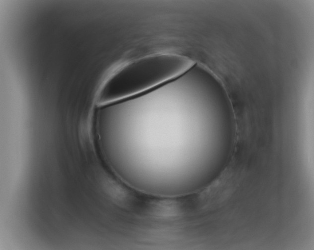 X0000113330104200909281235