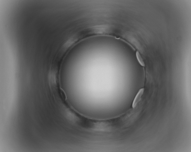 X0000113330105200909281235