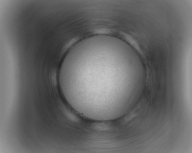 X0000113330106200909281235