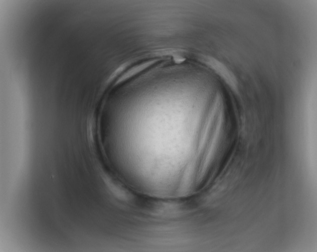 X0000113330107200909281235