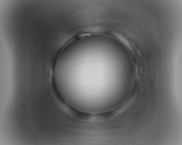 X0000113330109200909281235