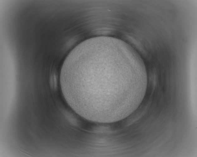 X0000113330110200909281235