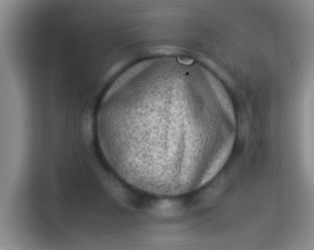 X0000113330111200909281235