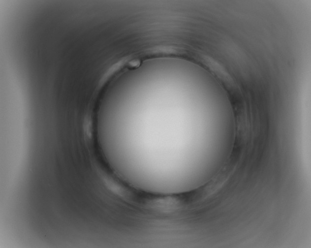 X0000113330112200909281235