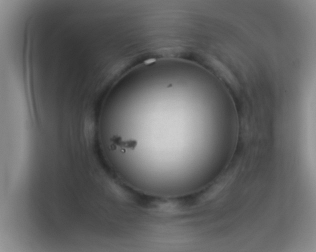 X0000113330113200909281235